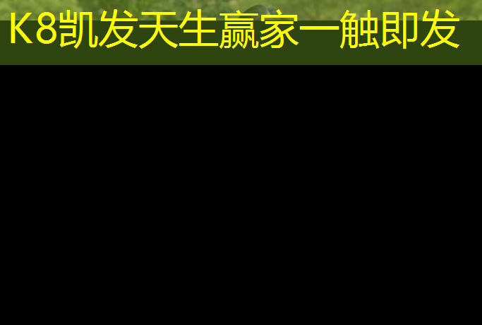 K8凯发国际官方网站：专业塑胶跑道对比价